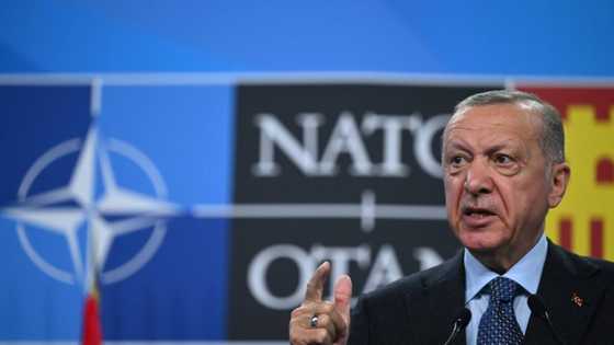 Erdogan warns Turkey may still block Nordic NATO drive