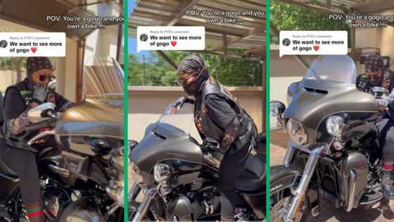 Gauteng gogo breaks stereotypes by riding Harley Davidson motorbike like a boss in TikTok video