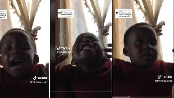 Viral video of cute toddler singing along to 'Mnike' using her own lyrics has Mzansi laughing out loud