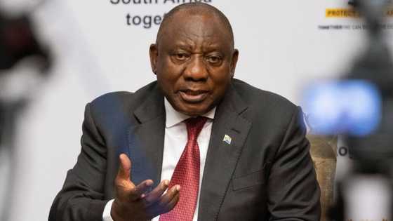 President Cyril Ramaphosa tells South Africans to calm down and wait for officials to complete probe into farm theft