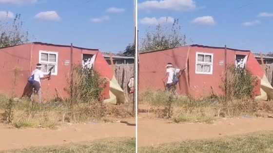 Angry girlfriend destroys boyfriend's shack with shovel, viral TikTok video shocks SA