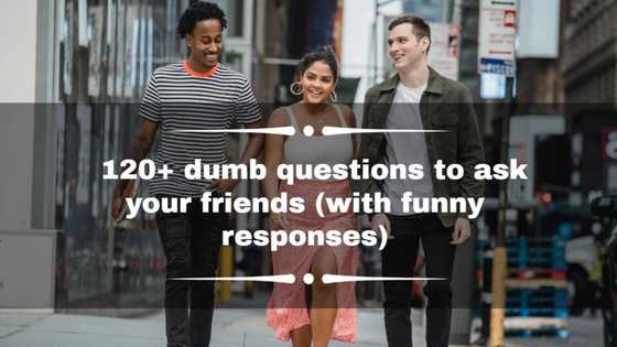 120+ dumb questions to ask your friends (with funny responses)