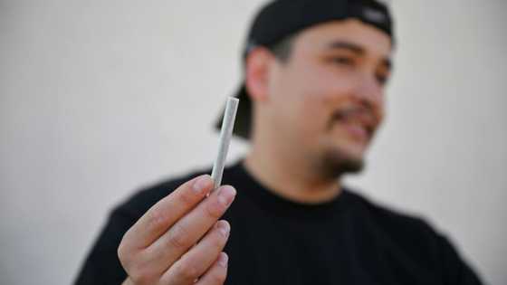 California's cannabis black market thrives despite legalization