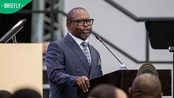 Political parties split on Godongwana's budget and fuel levy cuts ahead of November elections