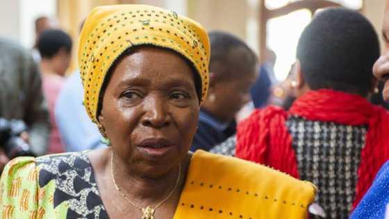 ANC presidential hopeful Dlamini-Zuma wants to do away with step-aside rule at December conference