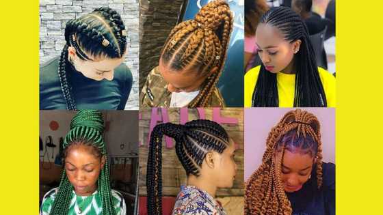 70+ African braids hairstyles in 2025: unique hairstyles to elevate your look