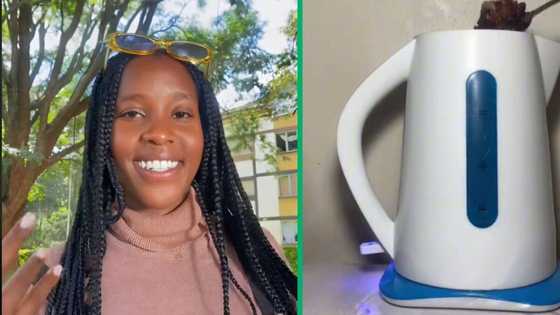 Woman prepares chicken meal in her kettle, TikTok video stirs up disgust and amusement online