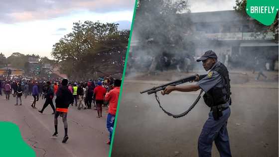 Malawian nationals clash with police in Durban as protest turns violent outside Sherwood Hall
