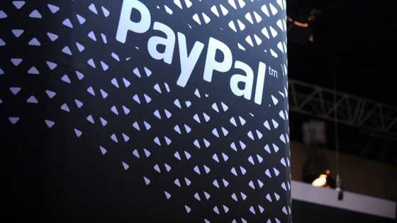 German antitrust watchdog opens probe into PayPal