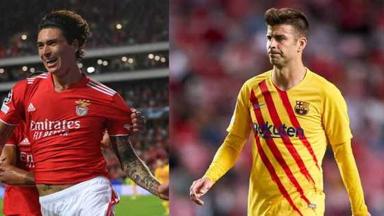Benfica vs Barcelona: Nunez scores brace In famous 3-0 win over Barca