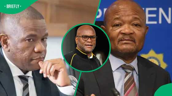 Political Interference and 3 Other Key Findings from the Madlanga Commission and Ad Hoc Probes