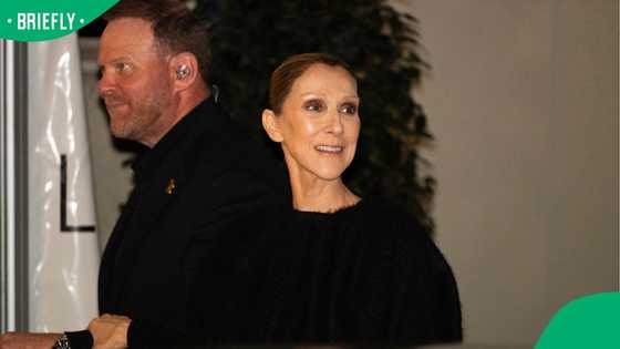 Céline Dion gets her own Barbie doll dressed in iconic 1998 Academy Awards outfit