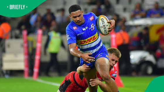 Chaos on the pitch: Referee attacked in Western Cape club rugby clash