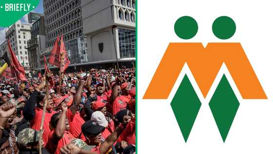 EFF members clash with AfriForum officials inside East London court after Julius Malema's sentencing