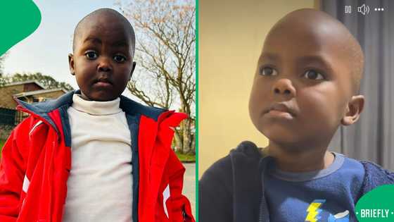 "ZB the Black American": Zuluboy strikes again with a hilarious bedtime story, SA entertained