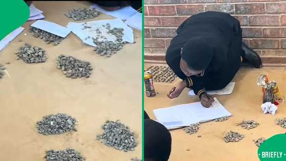 “No way”: Viral TikTok video shows pupils using stones to do maths, sparking outrage in SA