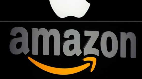Spain hits Apple, Amazon with 194-mn-euro antitrust fine