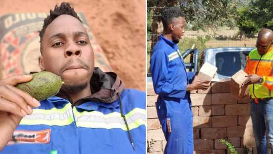 Proud Mzansi brick maker takes to social media to show off his work, leaves the people of SA clapping
