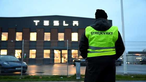Tesla workers strike in Sweden over union demands