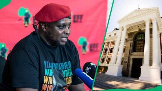 EFF Floyd Shivambu's call: A progressive government for South Africa