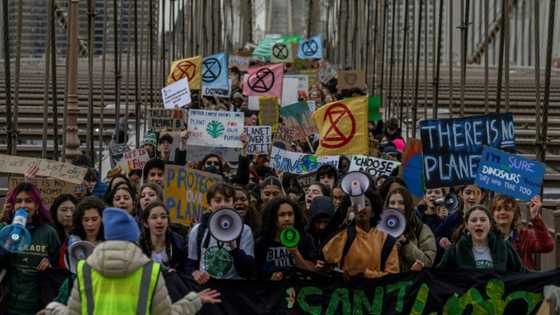 Fossil fuelled: Climate talks begin with spotlight on oil chief