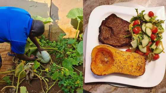 Chow what you grow: SA man impresses with food cooked from garden