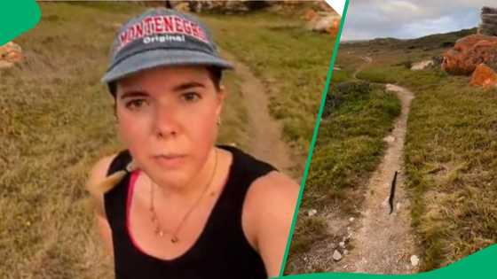 Woman spots moving puff adder during hike in TikTok video