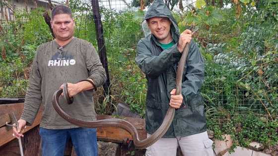 Snake rescuer Nick Evans captures 2.5m long black mamba washed up in Durban home during KZN floods