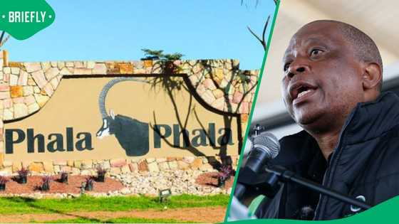 Herman Mashaba calls Phala Phala saga a national embarrassment, urges President Ramaphosa to resign