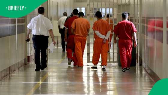 Afrikaner detained in USA for applying for asylum on tourist visa