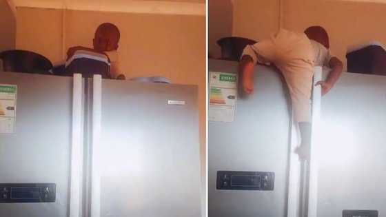 South African toddler caught playing on top of the fridge by mother: "But how did you get up there?"