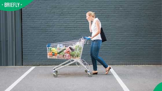 R1,000 grocery budget can barely feed one child a nutritious diet for a month, report shows