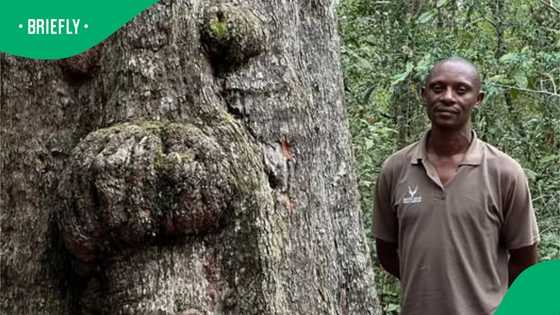 "He loves his job": SA moved as ranger’s kindness open historic storms river pass after 13-year wait