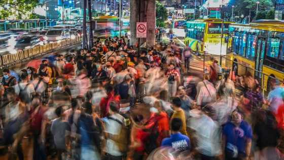 Humanity hits the eight billion mark