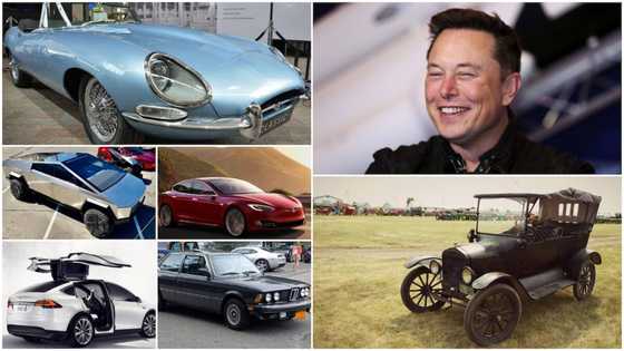 A look at Elon Musk's garage that has cars worth millions of Rands