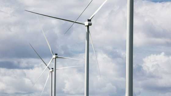 EU probes Chinese wind turbine suppliers over subsidies