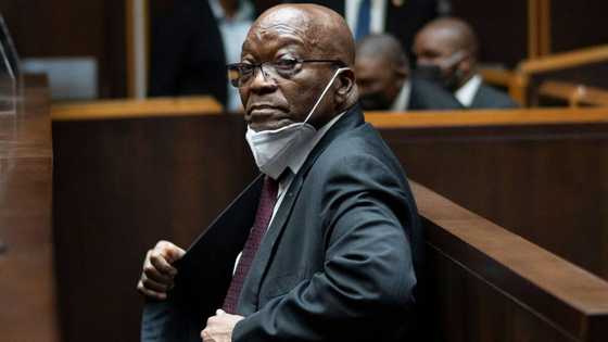 Jacob Zuma Foundation responds to special plea dismissal, wants Msholozi to appeal