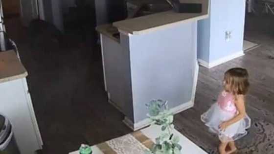 4-year-old girl saves her family's house from fire after spotting burning appliance in kitchen