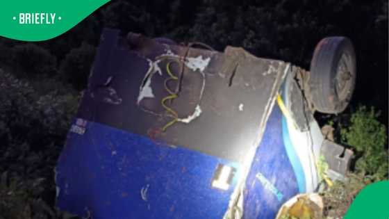 Four dead in Limpopo after bus plunges into ditch en route to Zimbabwe