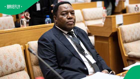 Masemola under fire from MPs over failure to oppose Mchunu's political killings task team decision