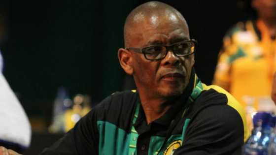 ANC National Working Committee to discuss Ace Magashule's defiance