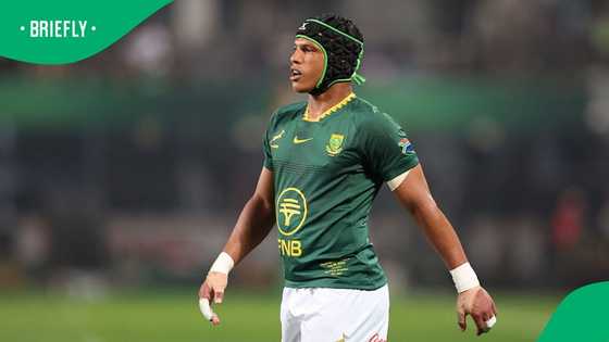 Springboks have All Blacks covered for decisive third Test, says Kurt-Lee Arendse