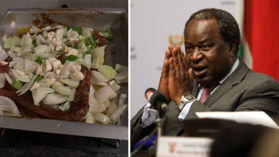 Tito Mboweni attempts to make club steak and shares cooking progress, Mzansi astonished by vegetable pieces