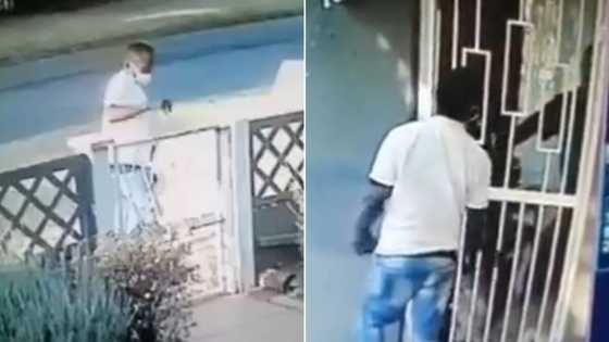 Shook thief aborts mission after homeowner opens the front door on him, people are busting