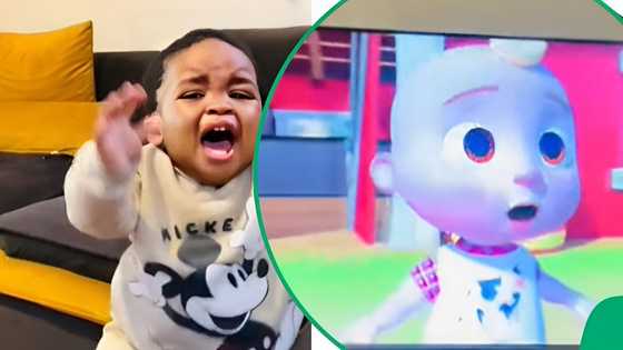 "Kids be scared of random things"; Toddler signaled to be sick of Cocomelon and got hysterical