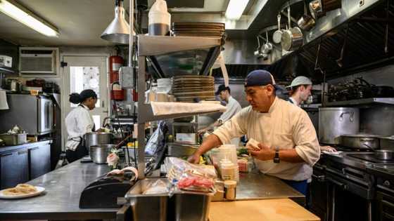 US private hiring slows more than expected in January: survey