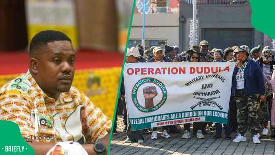 ZANU-PF hits back at Operation Dudula: "Stop scapegoating and fighting for crumbs"