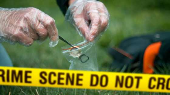 "His partner discovered the body": Soweto man arrested after human remains found in his fridge