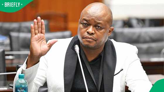 Brown Mogotsi fails to appear before Madlanga Commission, political fixer claims he is unwell