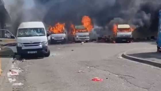 12 taxis allegedly torched in Gqeberha amid clashes, SA reacts to violent scenes